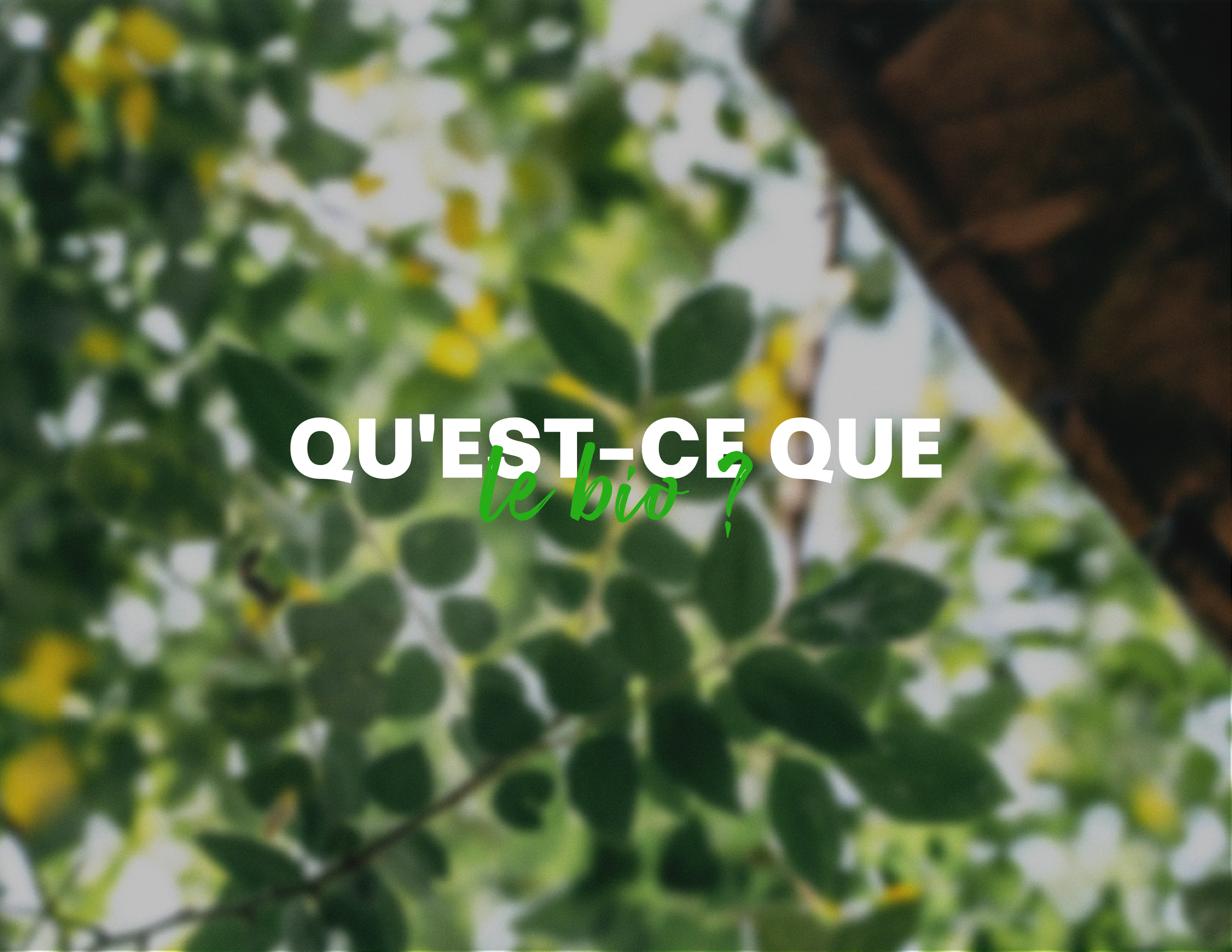 Le Bio, qu’est-ce que c’est ?